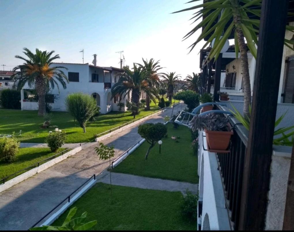 Theo In The Palm Trees * Σκάλα Φούρκας