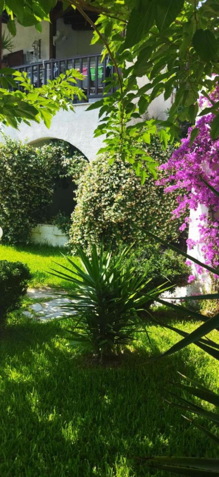 Theo In The Palm Trees Διαμέρισμα *
