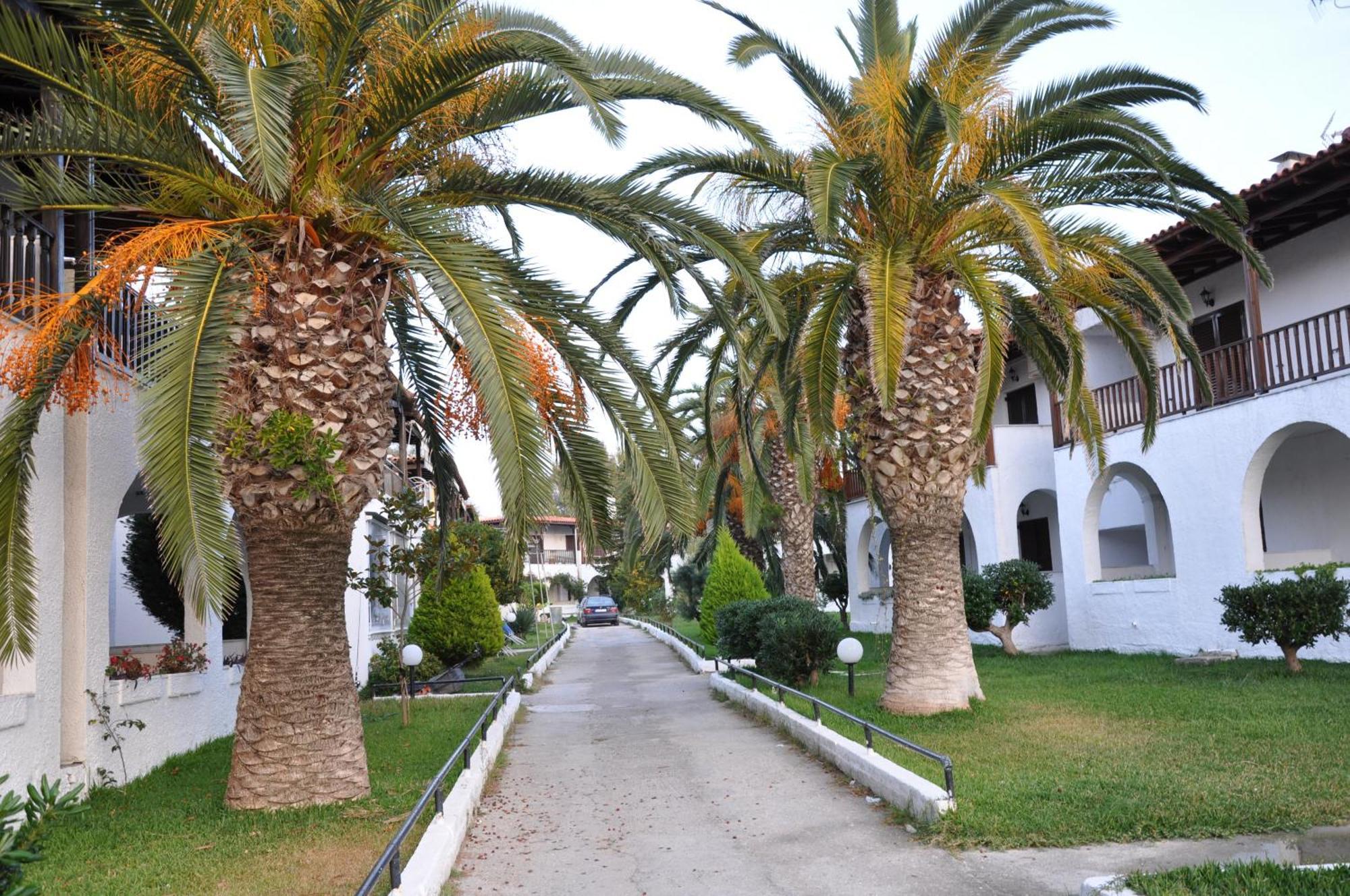 Theo In The Palm Trees Apartment Skala Fourkas